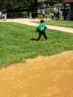 Dawson Rookie Green Baseball